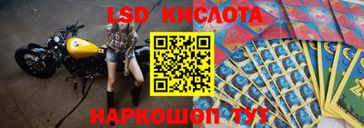 PSILOCYBIN Новокубанск
