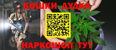гидра Нальчик