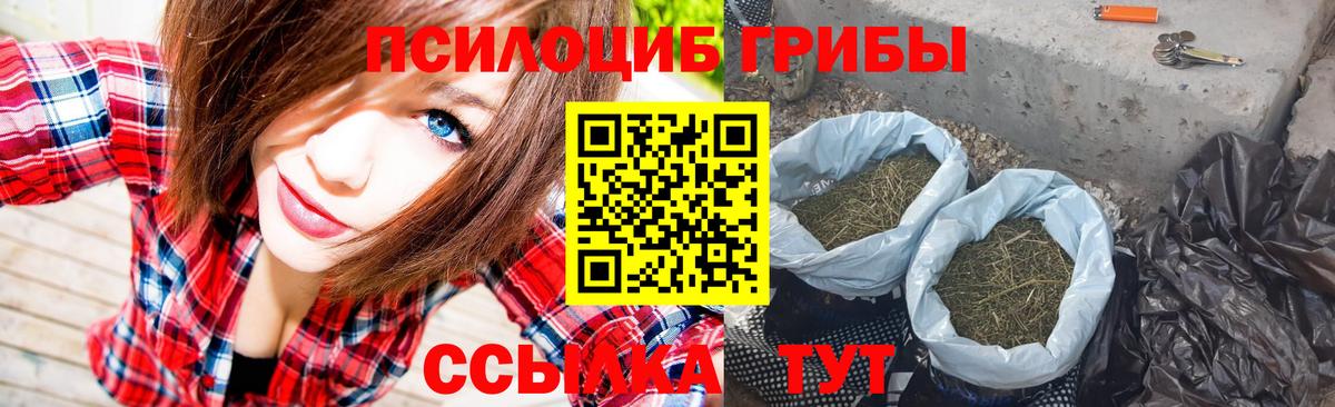 Северобайкальск  Галлюциногенные грибы GOLDEN TEACHER  Вход с VPN 
