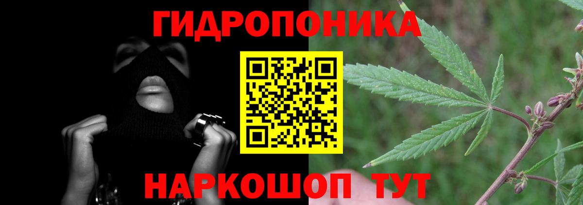 Канабис сатива  Бошки марихуана конопля  Северобайкальск  Каннабис VHQ  Шишки марихуана Bruce Banner  Вход с VPN 
